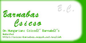 barnabas csicso business card